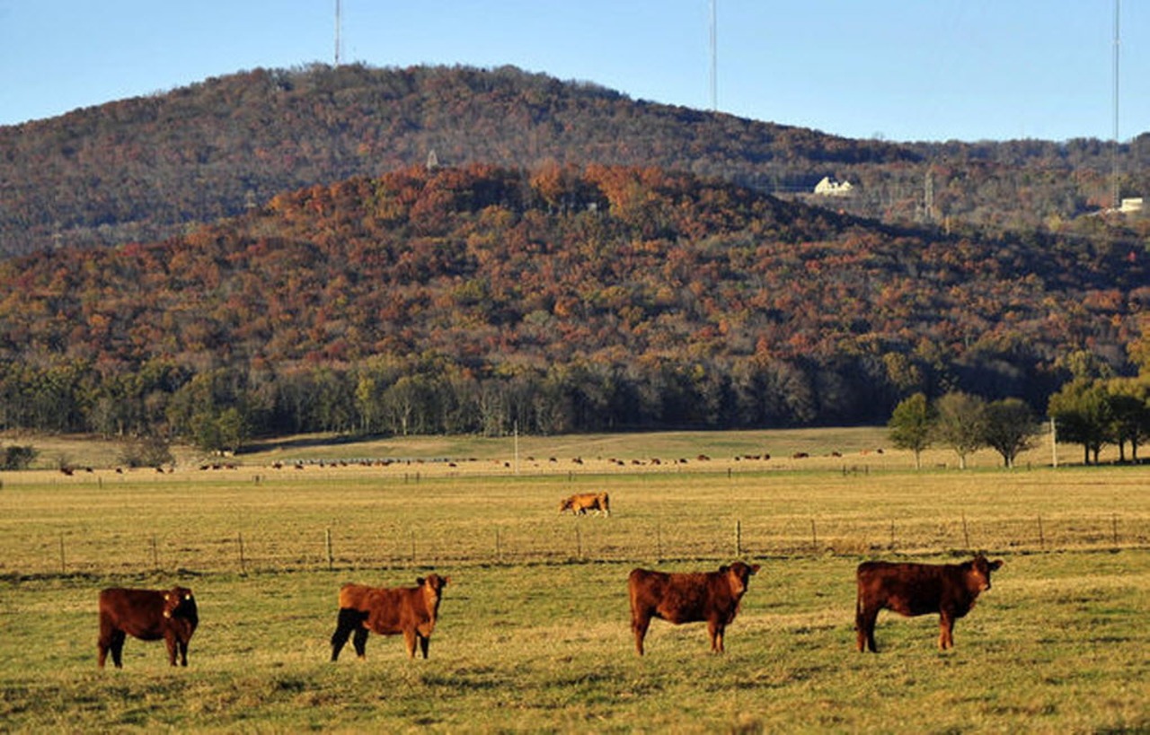 Jones Farm in Jones Valley